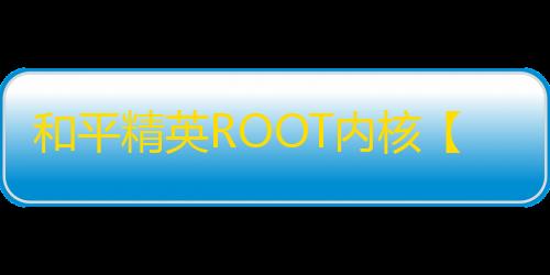 和平精英ROOT内核【壁虎】和平插件-外挂